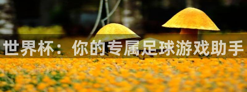 世界杯预选赛欧洲区赛程:世界杯:你的专属足球游戏助手