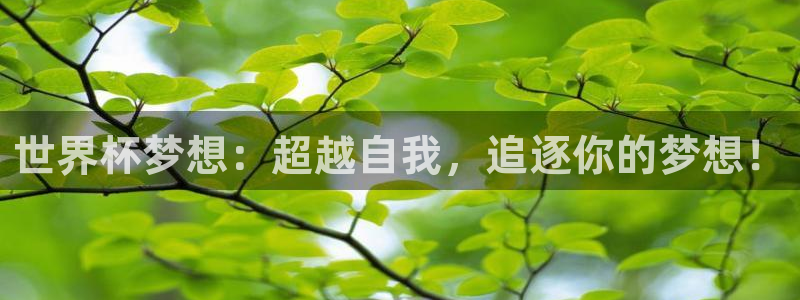 世界杯预选赛直播：世界杯梦想：超越自我，追逐你的梦想！