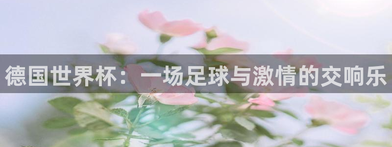 国际足联世界杯：德国世界杯：一场足球与激情的交响乐