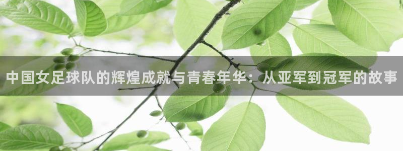 2026世界杯预选赛：中国女足球队的辉煌成就与青春年华：从亚军到冠军的故事