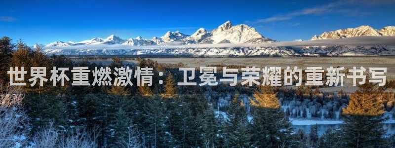 世界杯足球2026：世界杯重燃激情：卫冕与荣耀的重新书写
