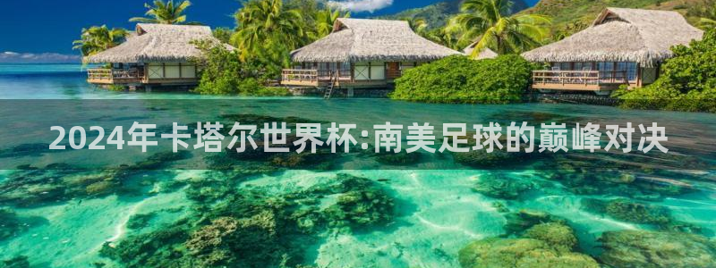 世界杯小组赛赛程：2024年卡塔尔世界杯:南美足球的巅峰对决