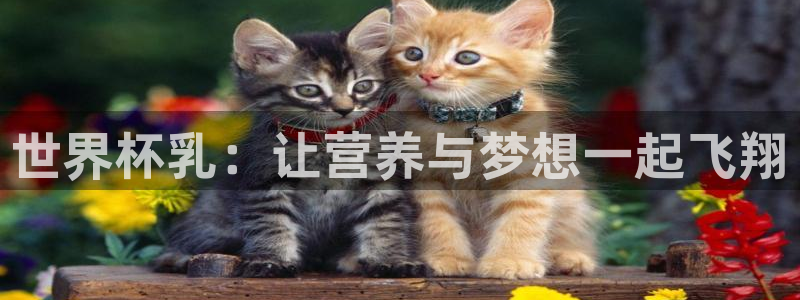 世预赛欧洲赛程表：世界杯乳：让营养与梦想一起飞翔
