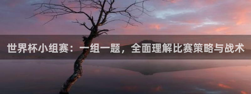 2006年世界杯：世界杯小组赛：一组一题，全面理解比赛策略与战术