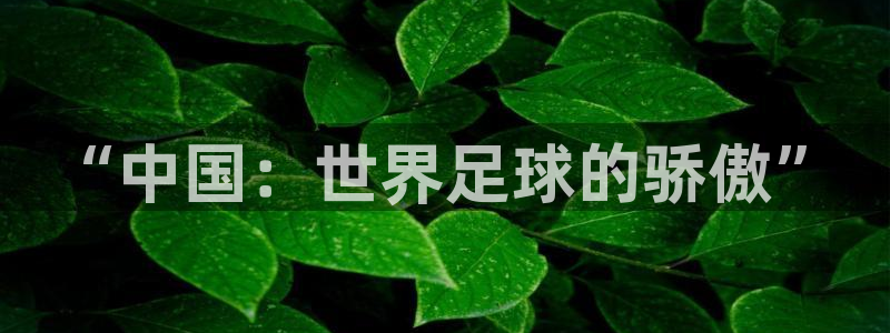 世界杯 赛程：“中国：世界足球的骄傲”