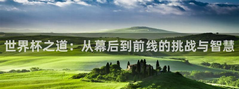 世界杯预选赛欧洲：世界杯之道：从幕后到前线的挑战与智慧