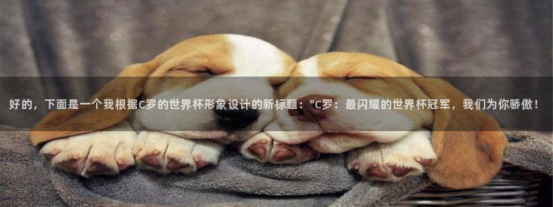 世界杯预选赛赛程：好的，下面是一个我根据C罗的世界杯形象设计的新标题：\